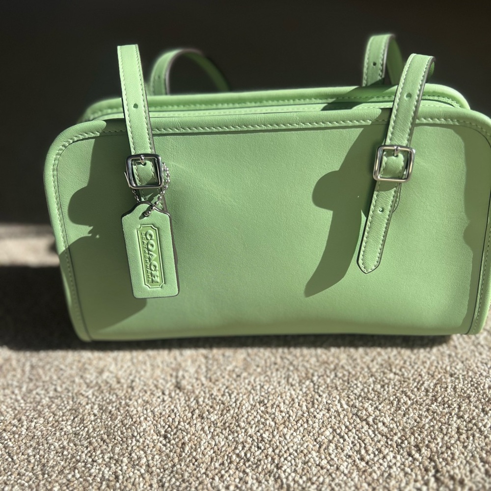 Coach Swing Zip Bag- Pistachio